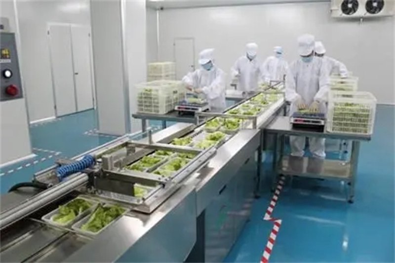 职场升级秘籍：如何进行职业规划