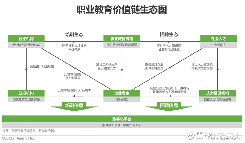 职场新绿如何破局：求职指导新路径