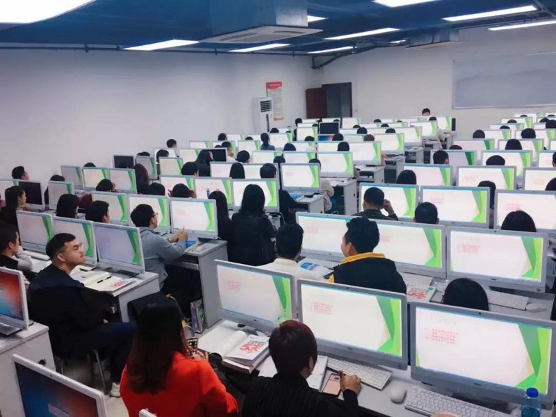 求职指导：导航职业生涯的指引灯