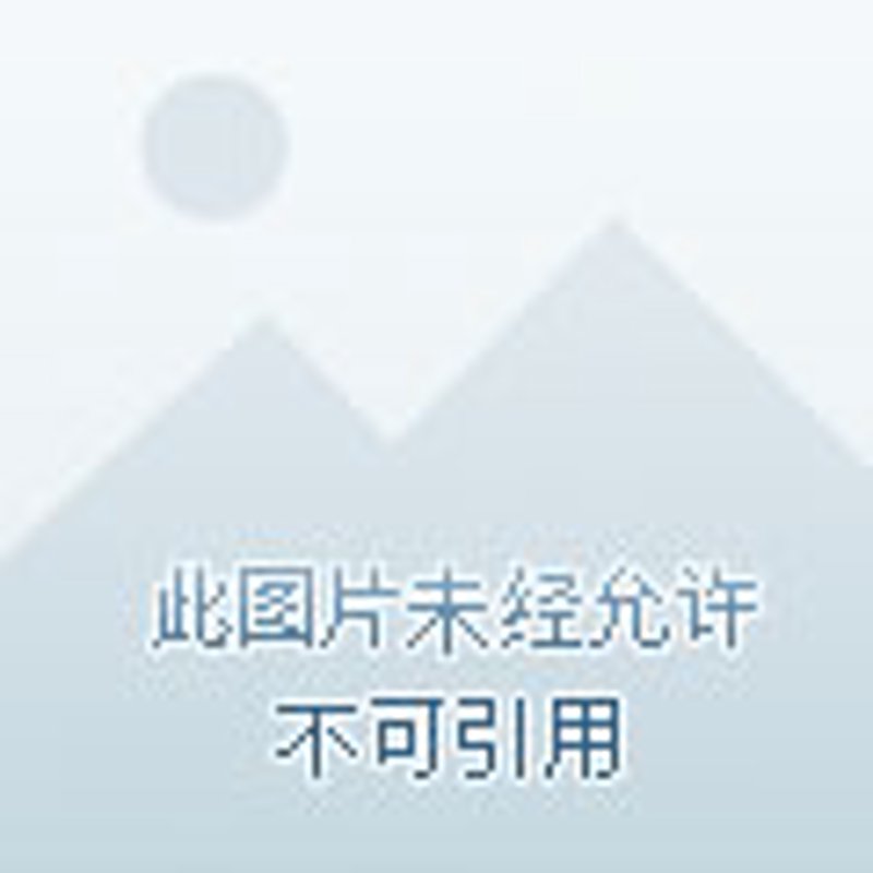 求职准备新攻略：专业面试辅导解读
